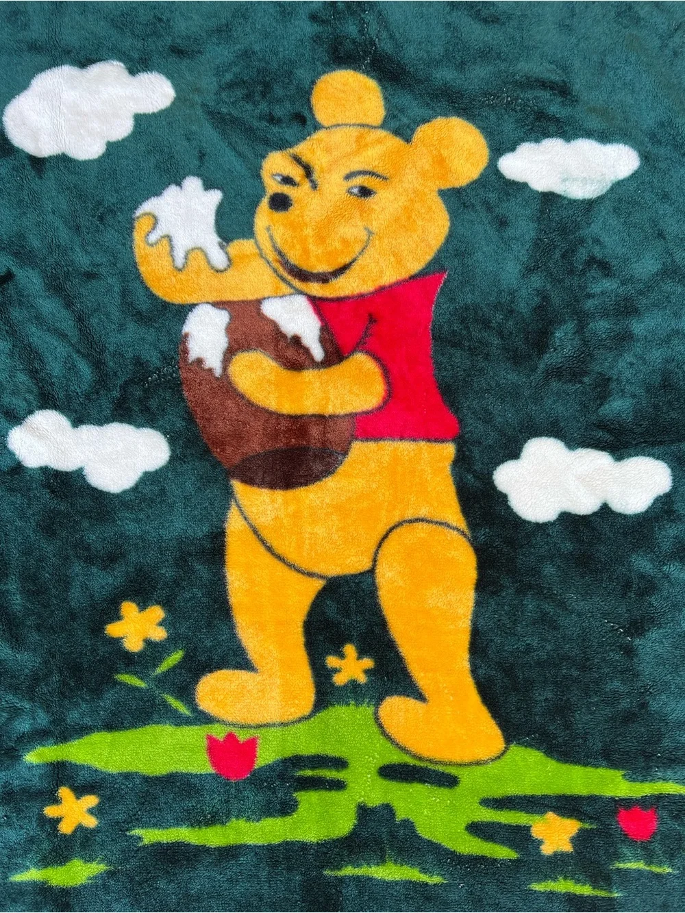 VTG Rare Winnie the Pooh Minky Honey Pot Clouds Flowers Green Blanket 53x42”